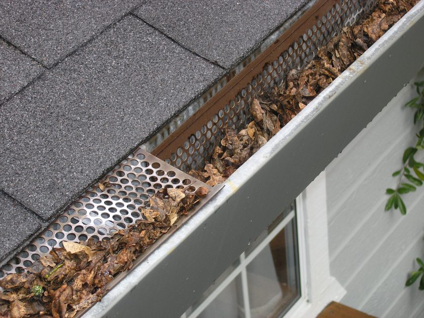 A gutter filled with wet leaves and shingle grit beside a partly covered guard.